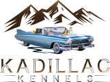 kadillac kennels