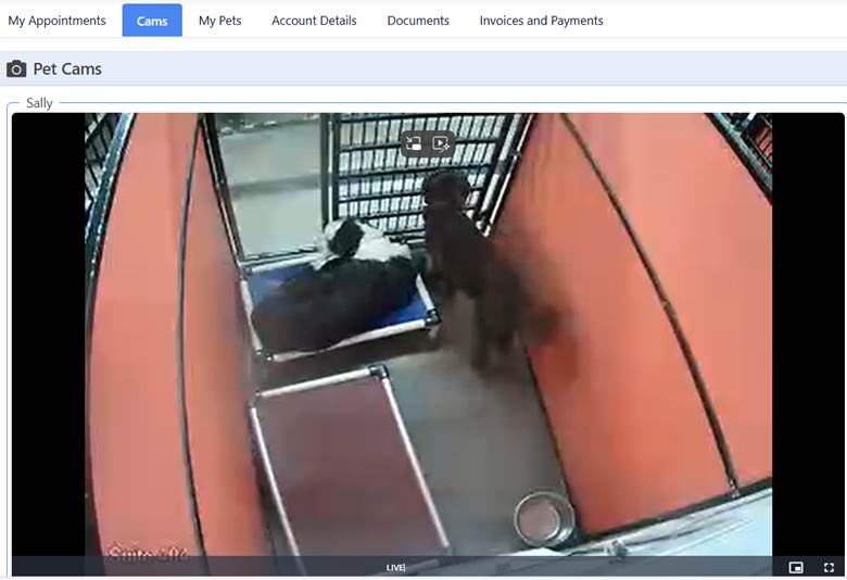 Client Portal Cams Tab