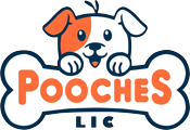 Pooches LIC - Big Pup